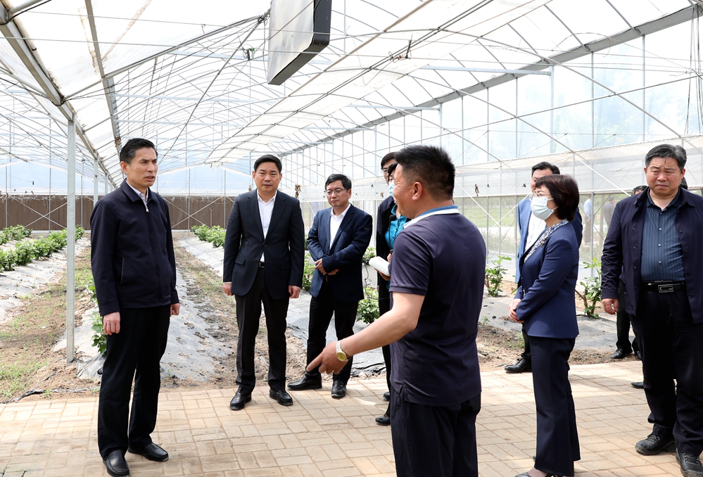 图一：参观瑞泽农林科技有限公司智能化蔬菜大棚.jpg