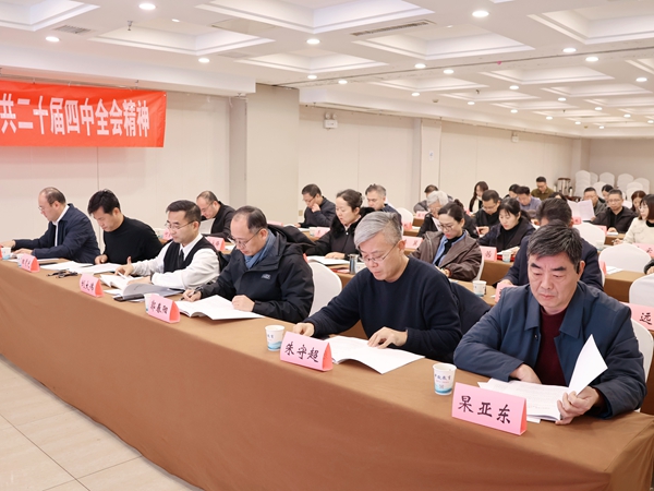 农工党徐州市十三届十八次全委(扩大)会议召开2.jpg