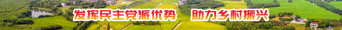 发挥民主党派优势  助力乡村振兴