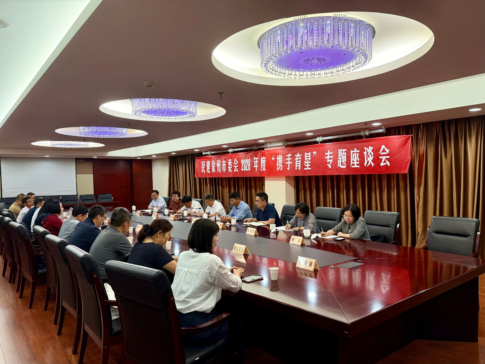 20260529  民建徐州市委会召开2026年度“携手育星”专题座谈会 (1).jpg
